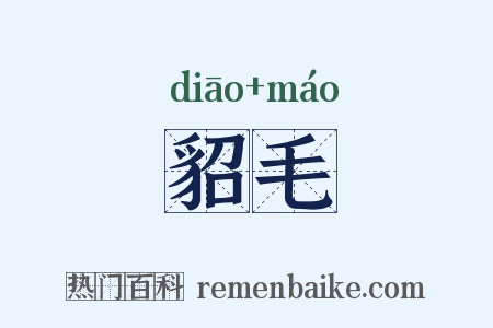 貂毛是什么意思的图片